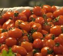 "В чем фокус" цен на помидоры на Сахалине, узнал губернатор