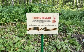 Общество