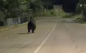 Общество