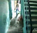 Прокуратура подключилась к делу о нападении на девочку в подъезде в Южно-Сахалинске