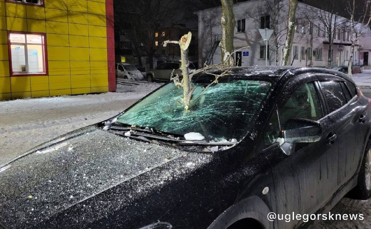 Ветка пробила лобовое стекло автомобиля во время циклона на Сахалине