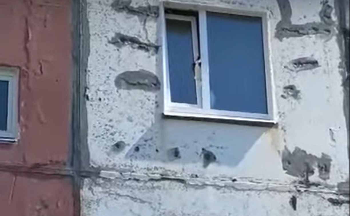"Он страшно кричал": в Петропавловске в последний момент помогли коту, застрявшему в окне головой