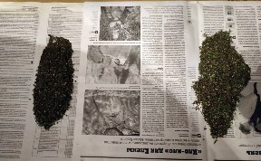 Происшествия