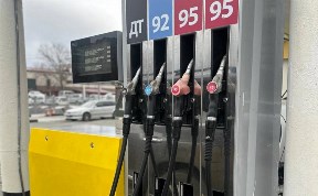 Общество