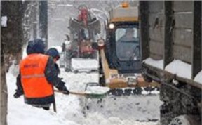 Общество