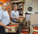 Более 650 килограммов свежих помидоров бесплатно раздали ветеранам, инвалидам и детям войны в Холмске
