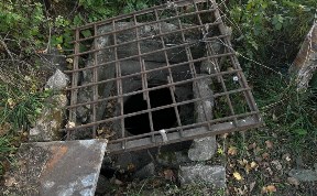 Общество