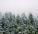 По ощущениям все -40°C: прогноз погоды для Сахалинской области на 25 декабря