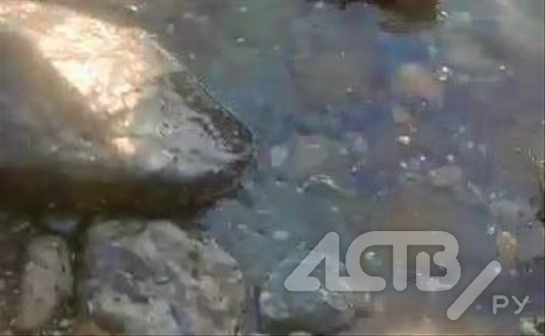 Масляные пятна обнаружили в море у Холмска