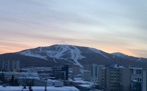 Общество