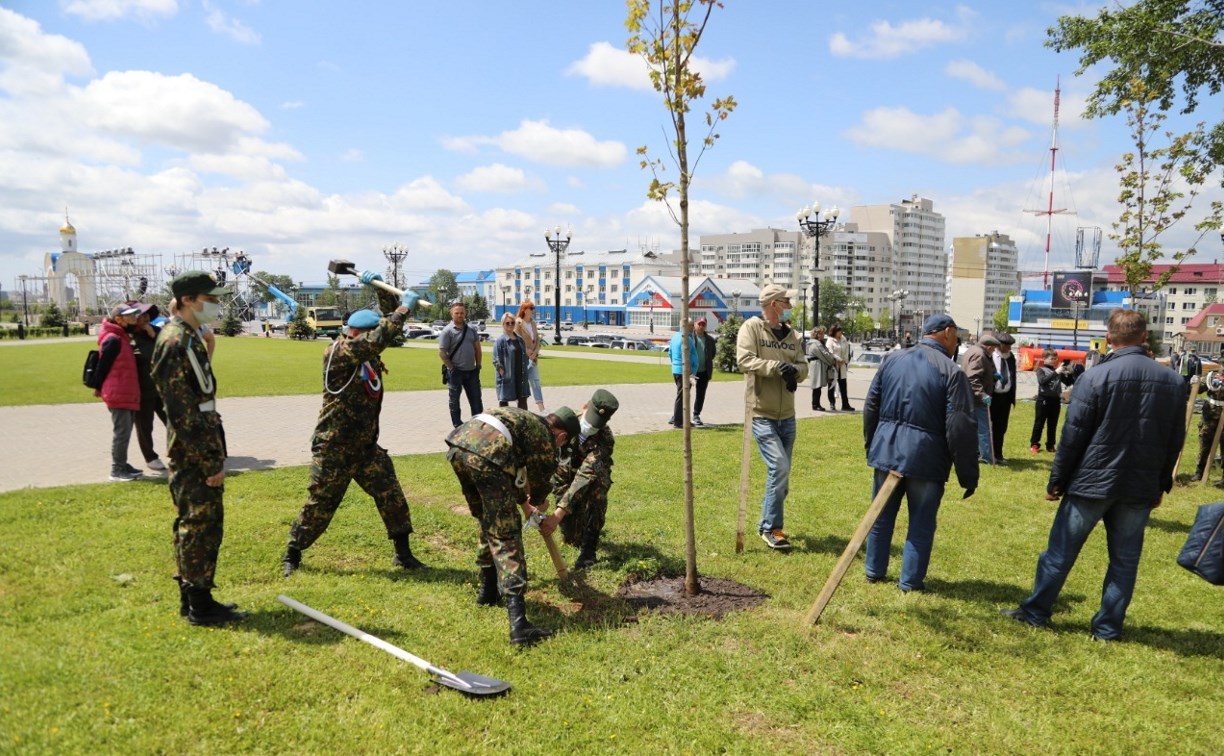 Жители Южно-Сахалинска высадили клёны в память о Победе