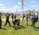 Жители Южно-Сахалинска высадили клёны в память о Победе