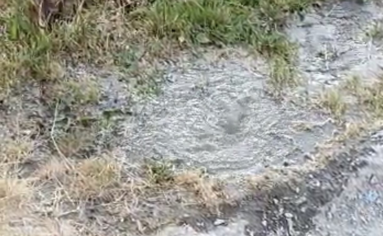 Фонтанчик грязной воды забил из газона в Южно-Сахалинске
