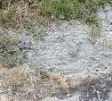 Фонтанчик грязной воды забил из газона в Южно-Сахалинске