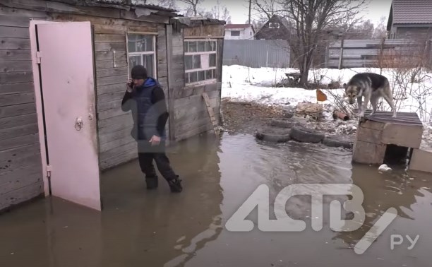 Локальный потоп в сахалинском СНТ: вода стоит в комнатах, собака спасается на крыше будки
