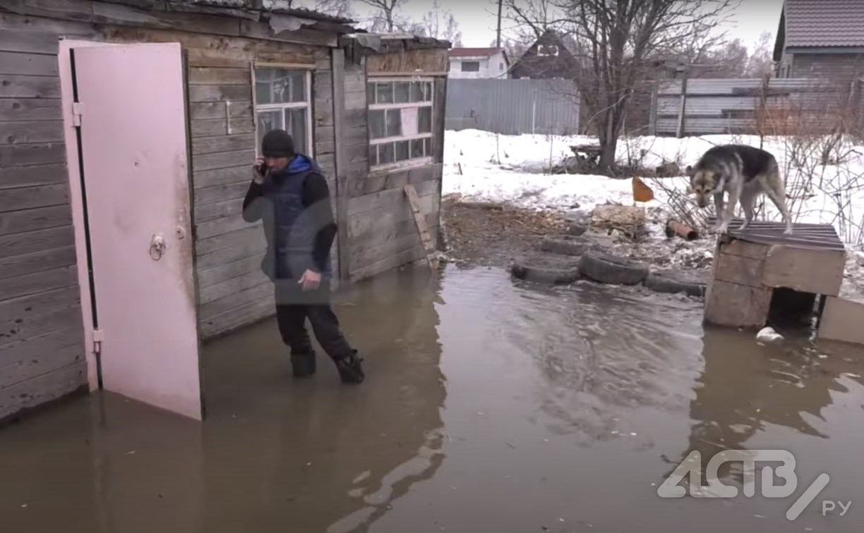 Локальный потоп в сахалинском СНТ: вода стоит в комнатах, собака спасается на крыше будки