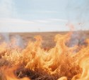 В Троицком огнеборцы потушили гектар горящей сухой травы