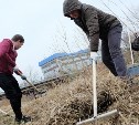 Жителей Сахалинской области 23 и 30 апреля приглашают на субботники