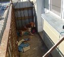 Жители Невельска беспокоятся за собаку, которую оставили на балконе в мороз