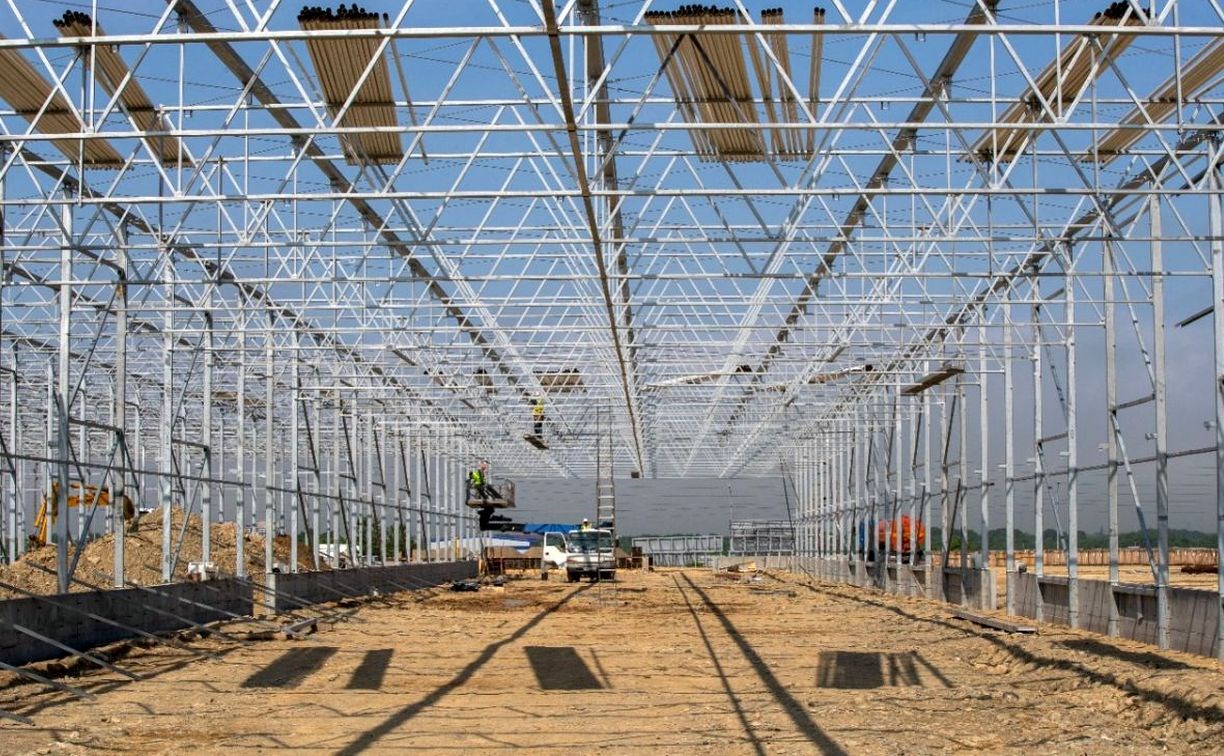 На Сахалине строят огромные шестиметровые теплицы с мощными светильниками