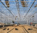 На Сахалине строят огромные шестиметровые теплицы с мощными светильниками