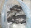 Дело о наркотиках в особо крупном размере довели до суда на Сахалине