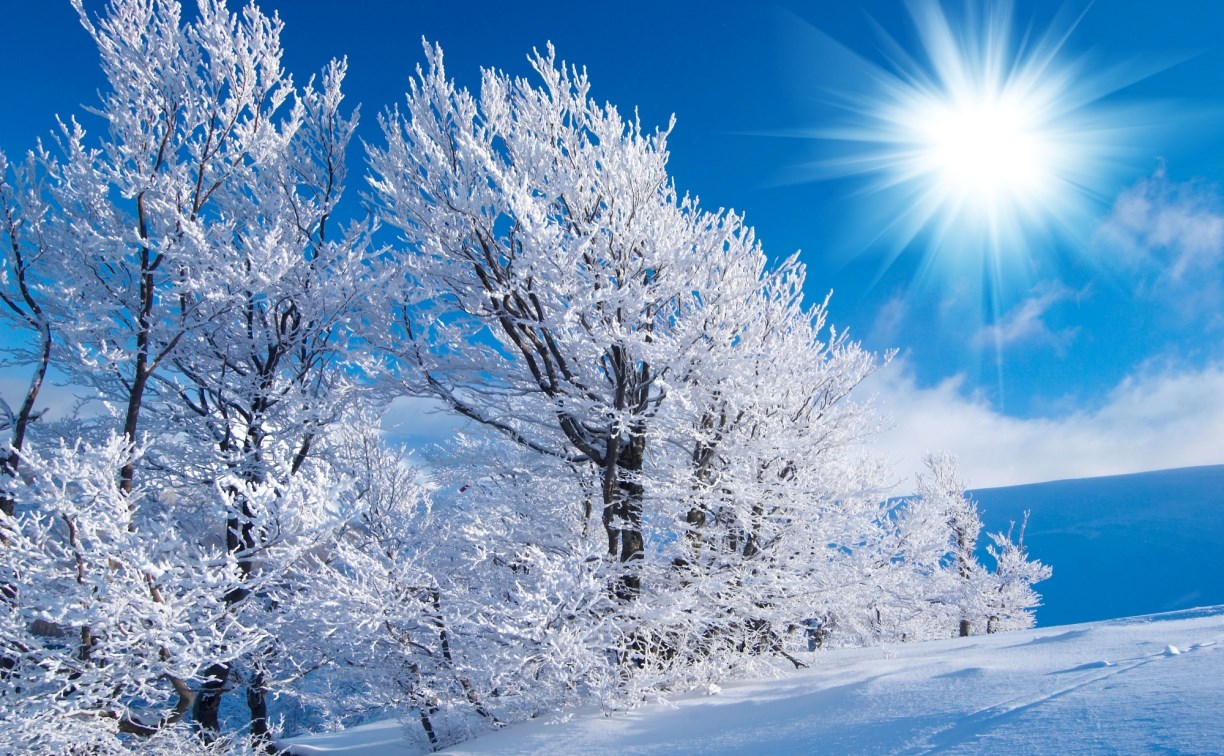 Солнце и штиль: какой будет погода в Сахалинской области 24 января