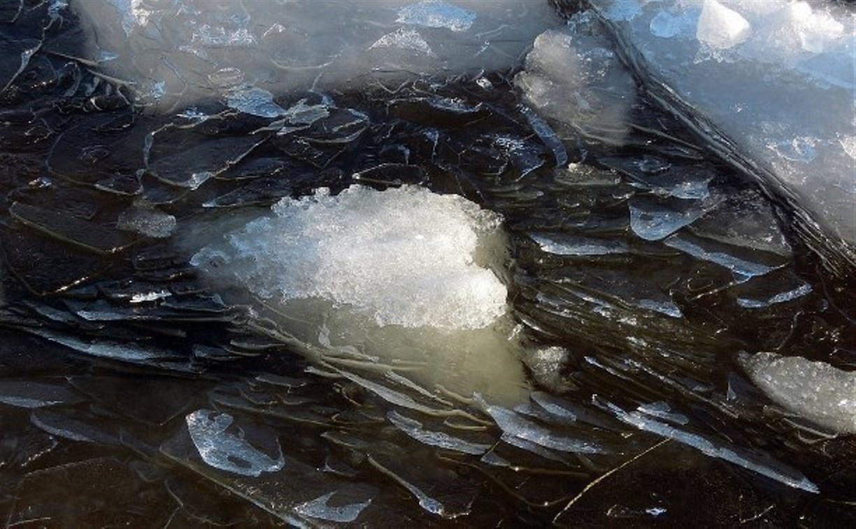 Очередных "мамонтят" уносит на оторвавшейся льдине в море на юге Сахалина
