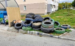 Общество