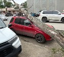 Дерево рухнуло на красный Chevrolet в Южно-Сахалинске