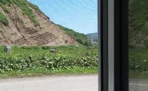 Общество