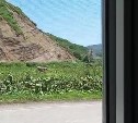 "Где ещё такое увидишь?": турист похвалил общественный туалет на Сахалине 