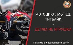Общество
