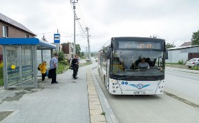 Общество