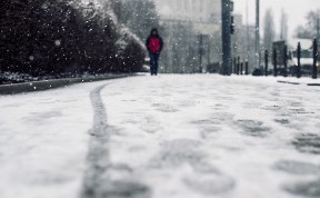 Общество