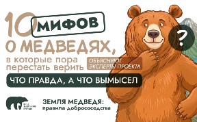 Общество