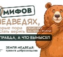 Нужно ли при встрече с медведем притворяться мёртвым: 10 мифов о хищниках