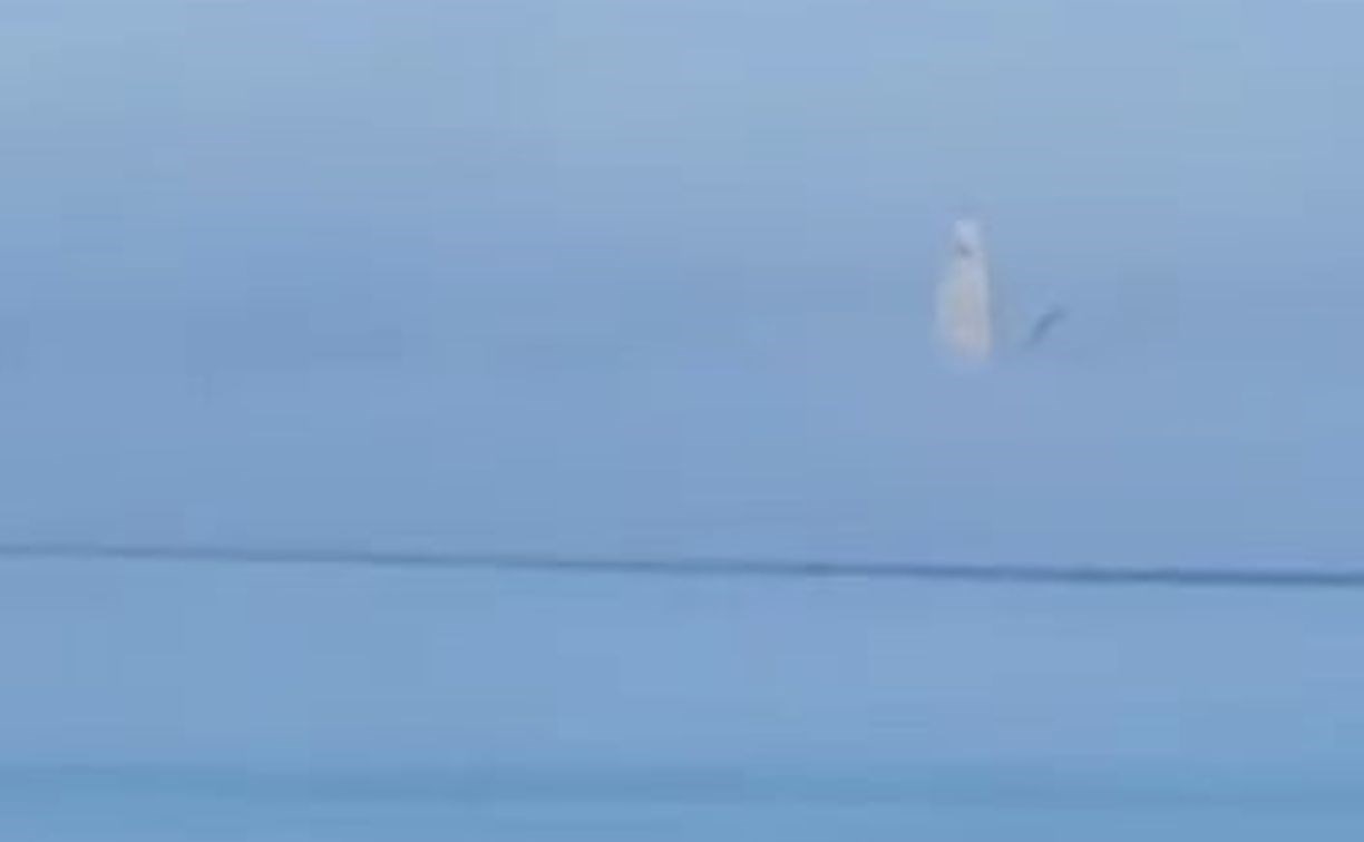 Житель Сахалина снял на видео "привидение" в море