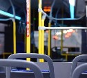 Педофилам и убийцам запретят водить автобусы с детьми