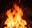 Хозпостройка горела в Вахрушеве