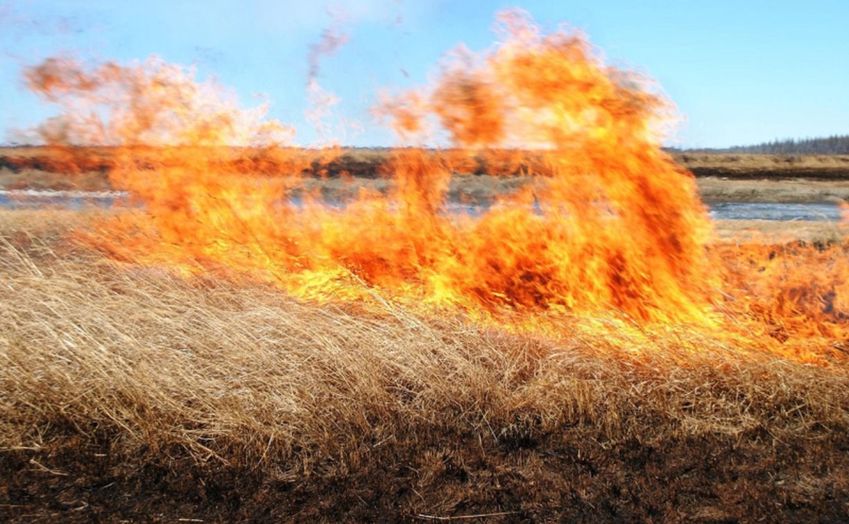 Корсаковские пожарные выезжали тушить пал сухой травы