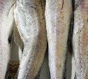 Больше 32 тысяч тонн рыбы отправили на экспорт с Сахалина и Приморья с начала года