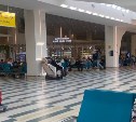 "В двигатель попала птица": рейс Южно-Сахалинск - Владивосток задержали 