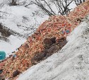 Горы крабовых очисток выкинули на окраине сахалинского села