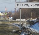 Школу в селе Стародубское ждет капитальный ремонт