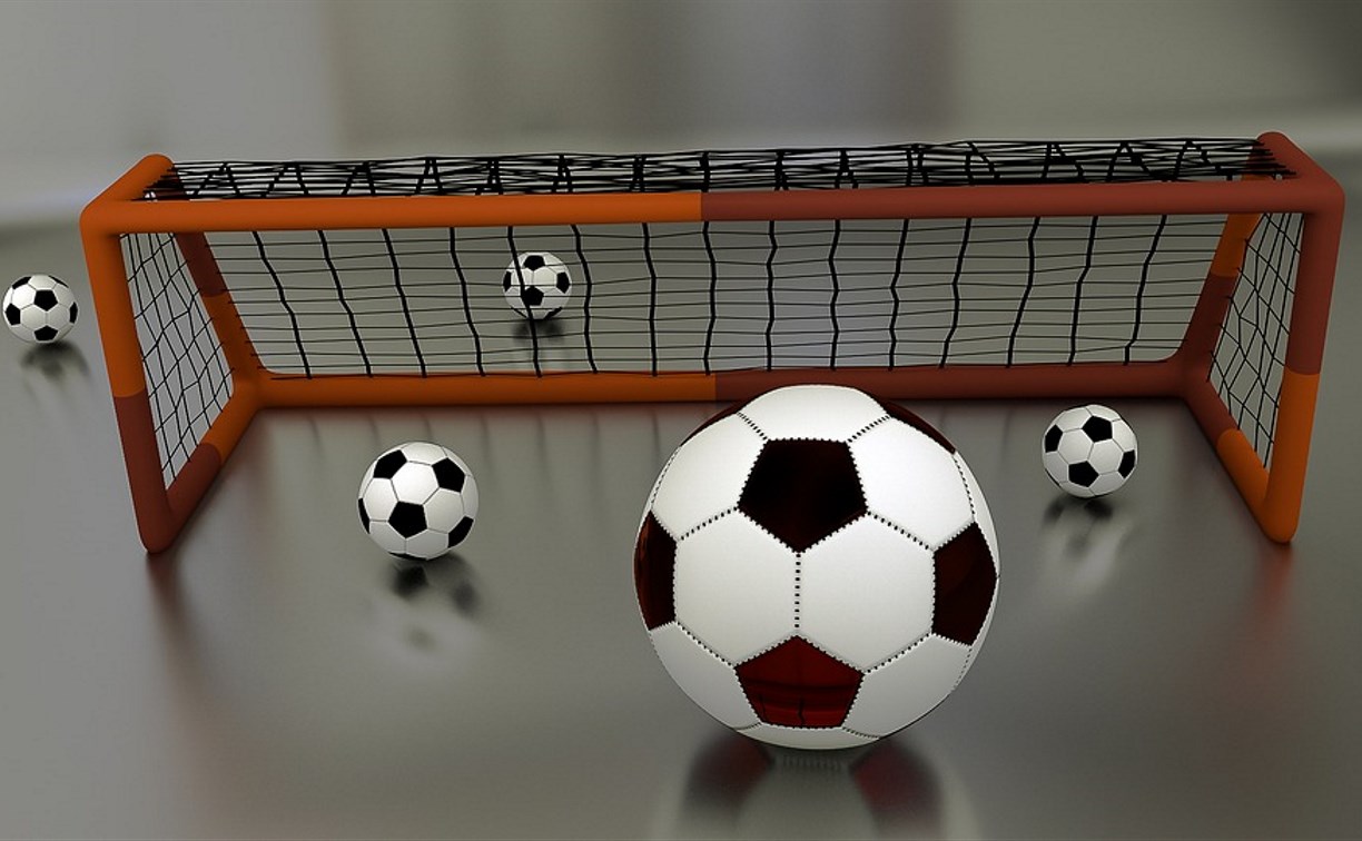 Областной этап Всероссийского проекта «Мини-футбол в школу» стартовал в Невельске