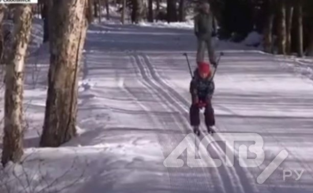 Очевидцы: собаки напали на девочку-лыжницу в Южно-Сахалинске