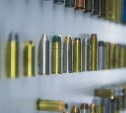 Сахалинец незаконно купил почти 400 патронов и попал под статью