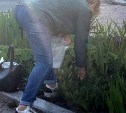 "Пожалуйста, центр города": расхитительницу клумб с совочком заметили в Южно-Сахалинске 