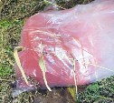 Браконьеров с краснокнижным тайменем, кетой и красной икрой задержали на Курилах